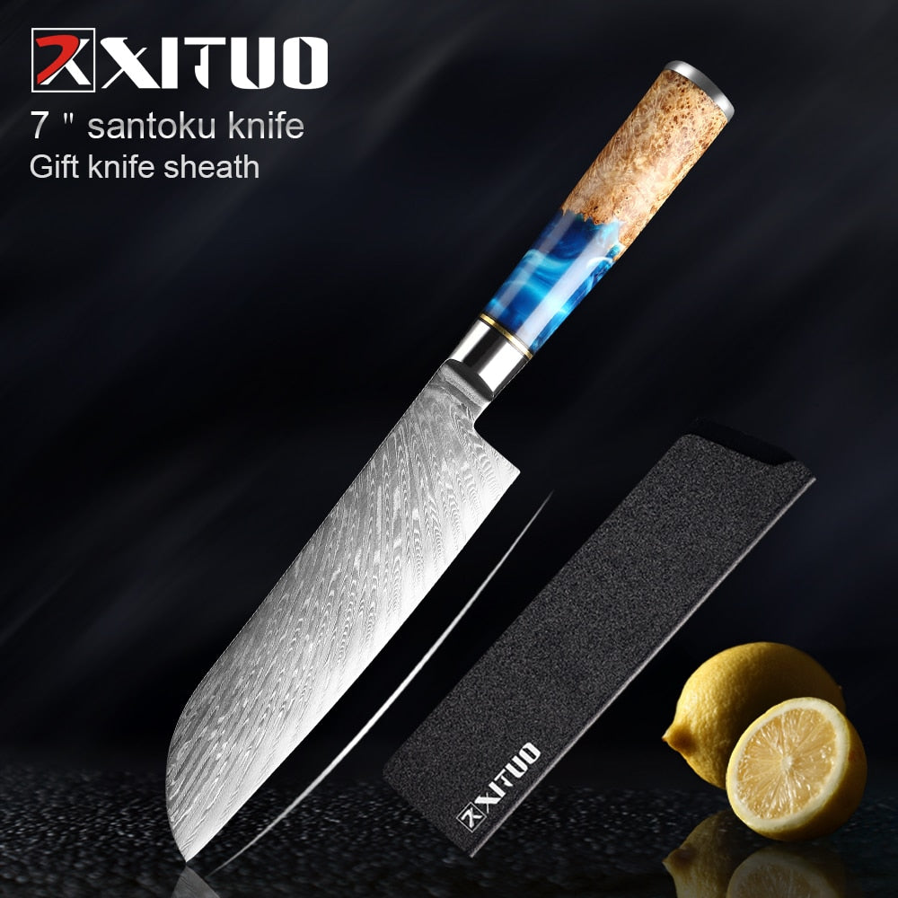 Damascus Steel Kitchen Knife -VG10 3/5/7 pc set -Chef Knife Cleaver Paring Bread Knife Blue Resin and Color Wood Handle